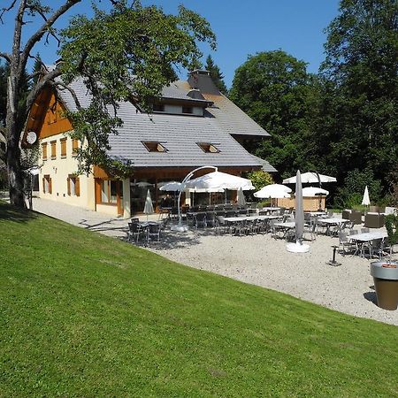 Domaine De La Sapiniere Hotel Thorens-Glieres Exterior photo