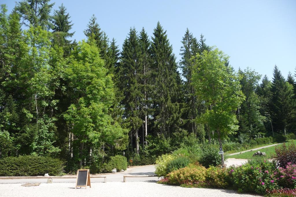 Domaine De La Sapiniere Hotel Thorens-Glieres Exterior photo